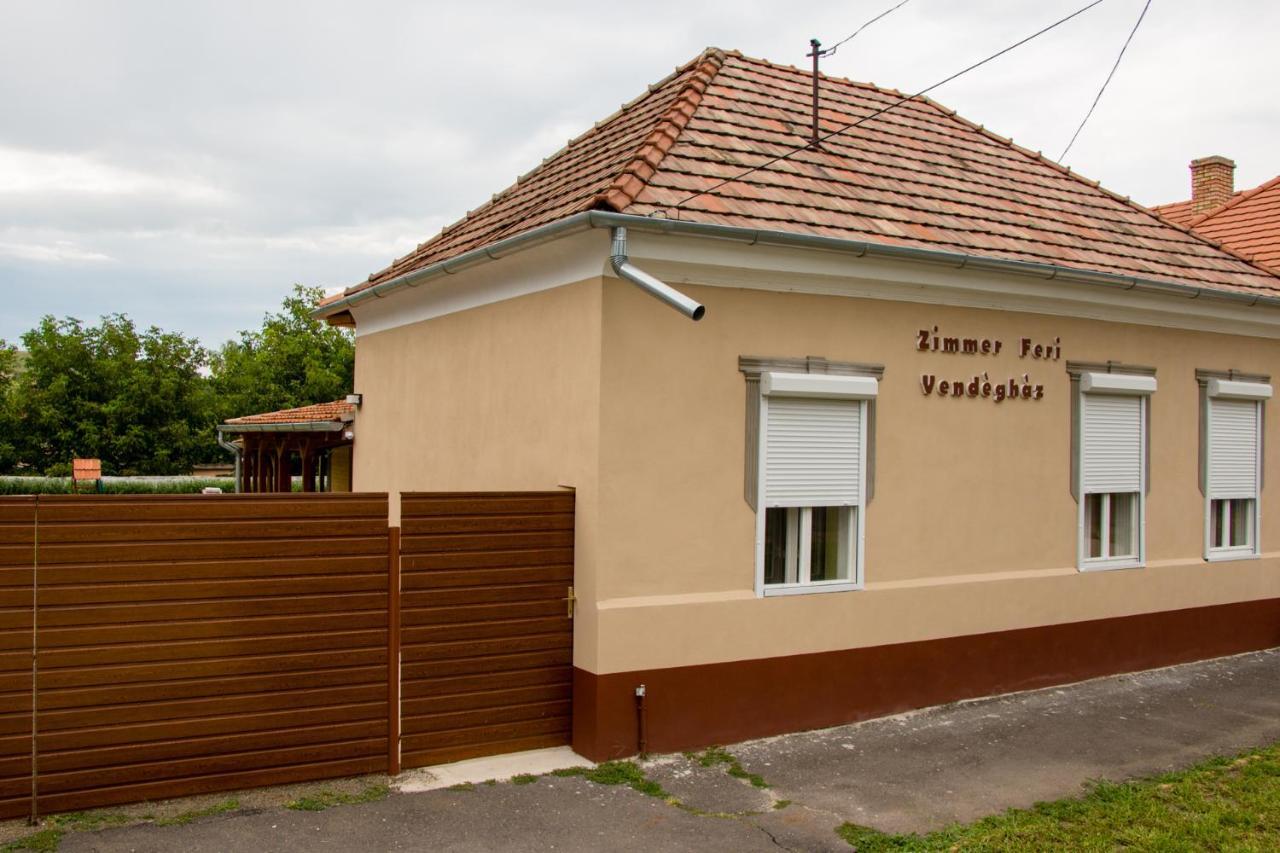 Zimmer Feri Vendégház Hotel Abaújszántó Exterior foto